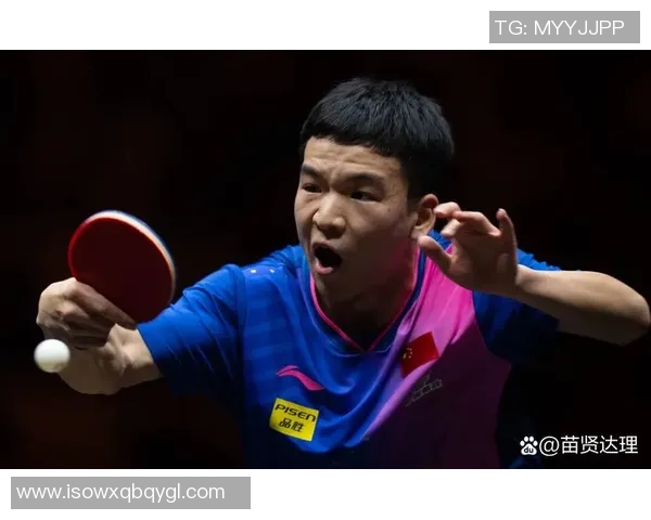 杭州乒乓球队状态分析与未来展望聚焦乒乓球发展新机遇